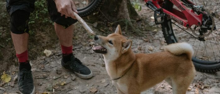 Scotti Bike Roma Monteverde